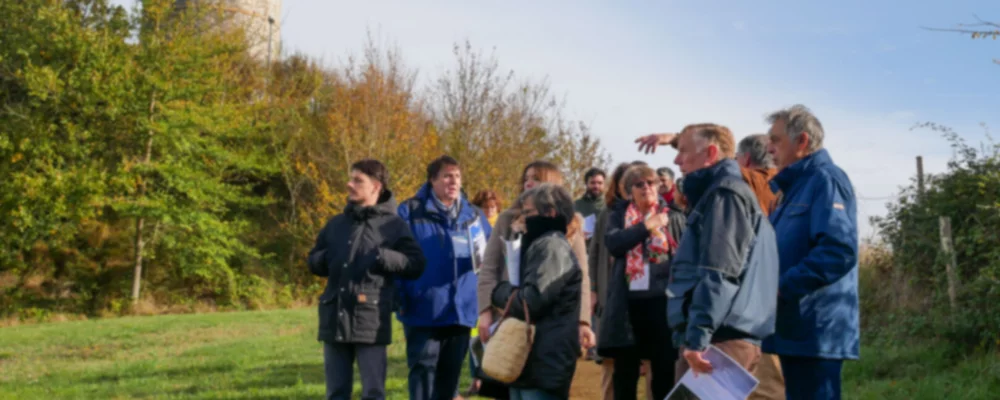 Expériences et démarches