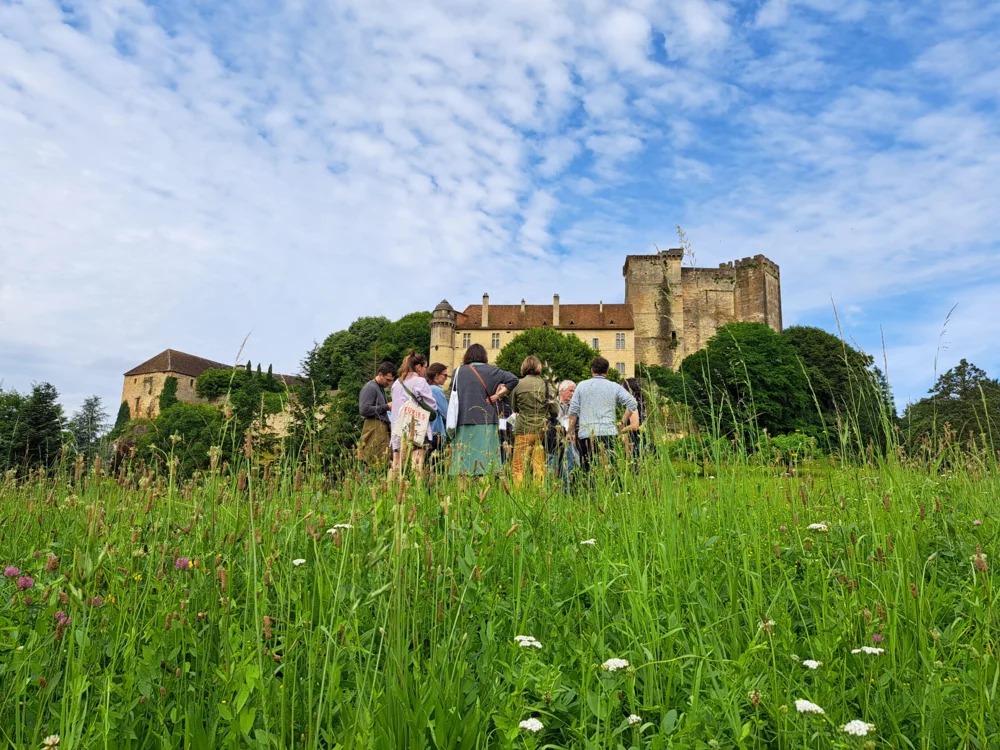 8. Visite départementale vue chateau T2