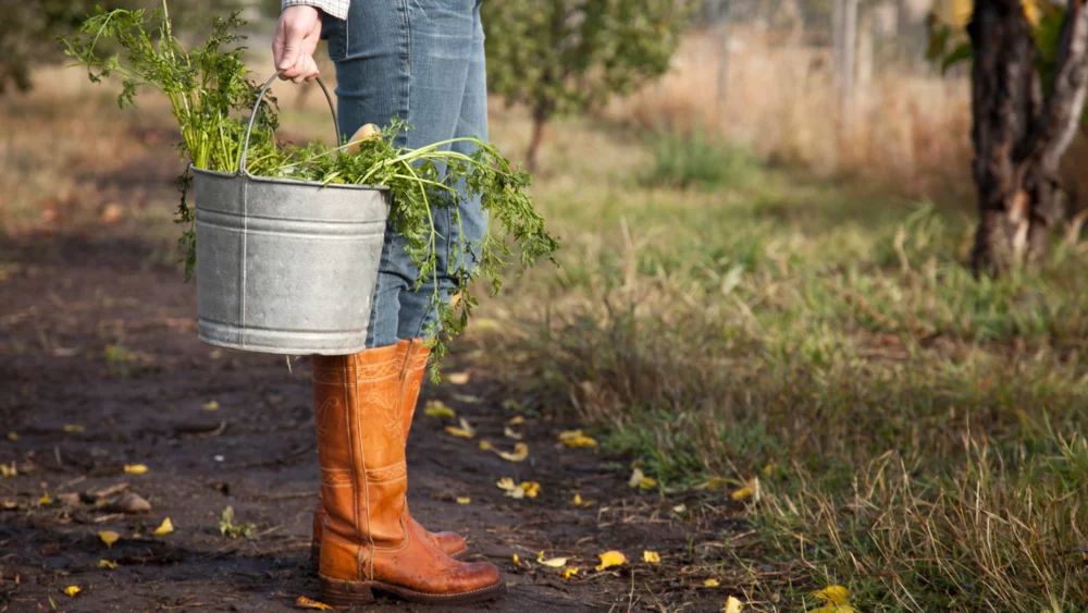 Bottes et panier agriculteur