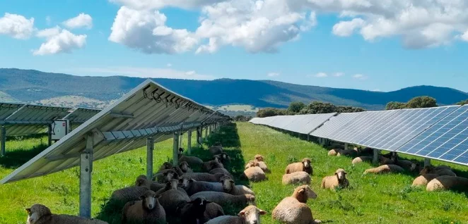 Agrivoltaïsme @Enoé