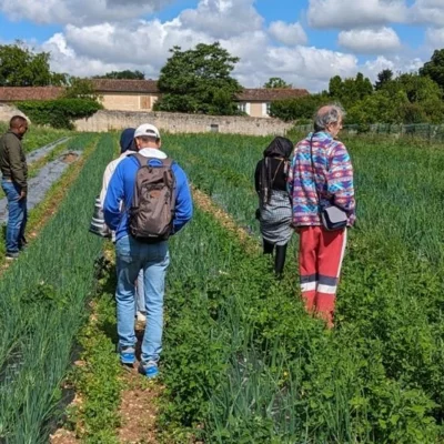 IAE maraîchage Jardins de l'eveil Poitiers