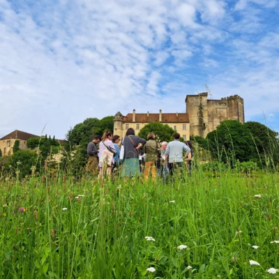 8. Visite départementale vue chateau T2