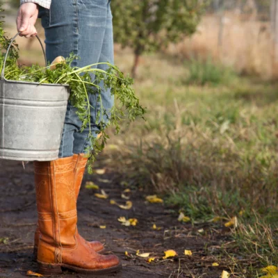 Bottes et panier agriculteur