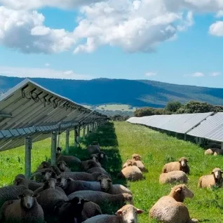 Agrivoltaïsme @Enoé